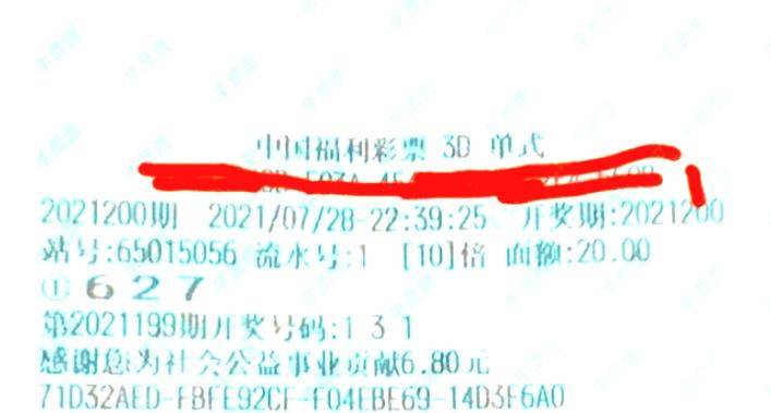 2025年新溪门天天开彩和新奥今天最新资料2025,全面释义、解释与落实与虚假宣传-全面释义、解释与落实